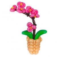 Цветок из шариков Орхидея