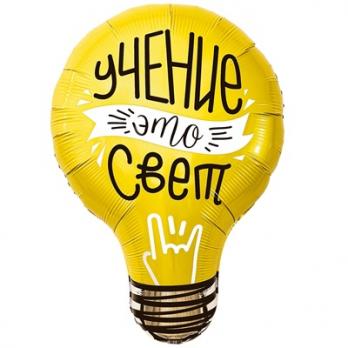 Шар фигура "УЧЕНИЕ ЭТО СВЕТ Лампочка" Шар фигура "УЧЕНИЕ ЭТО СВЕТ Лампочка"