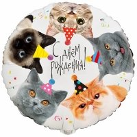 Шар круг "С Днем Рождения Котики фотографичные"