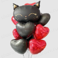 Фонтан из шаров "Блэкки Мур"