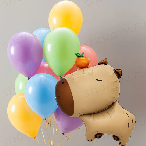 Сет из шаров "Капибара с мандаринкой и шариками"