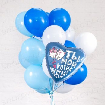 Облако из шаров "Ты - мой котик"