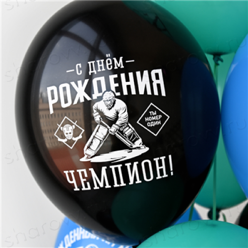 Фонтан из шаров "СДР, чемпион хоккея!"