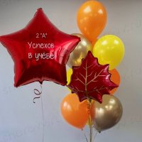 Сет из шаров "Успехов в учёбе!"