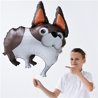 Шар фигура "Собака ушастая бульдог"