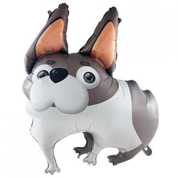 Шар фигура "Собака ушастая бульдог"