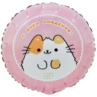 Шар круг "С Днём рождения ПушМяу"