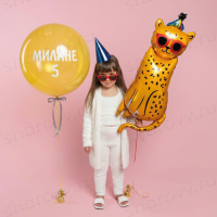 Сет из шаров "Симба"