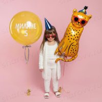 Сет из шаров "Симба"