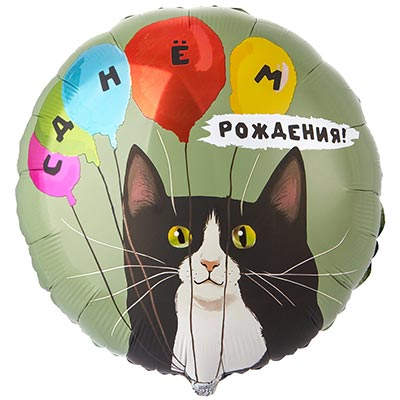Шар фольга "С Днем рождения! Кот и воздушные шары"
