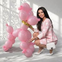 Фигура из шаров "Собака Розалин"