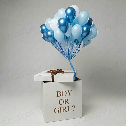 Коробка с шариками "BOY OR GIRL"