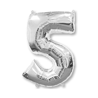 Цифра 5 Серебро