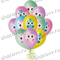 Шары латекс Совы