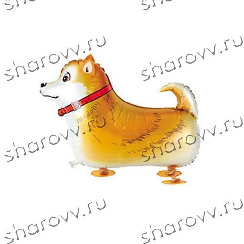 Шар "Рыжая собачка"