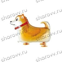 Шар "Рыжая собачка"