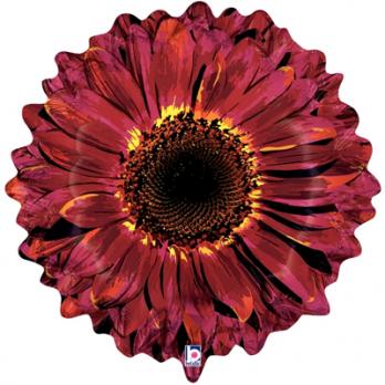 Шар фигура фольга Цветок Гербера бордовая