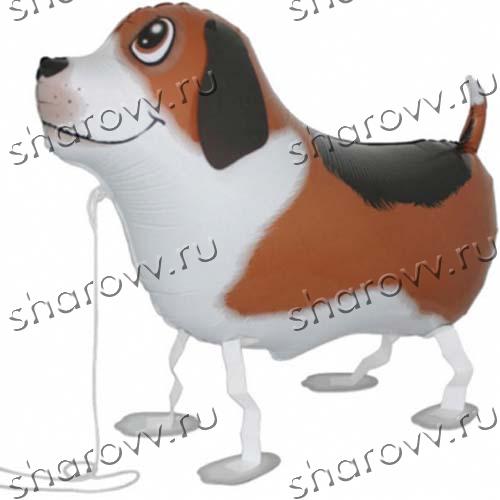 Шар "Собака"