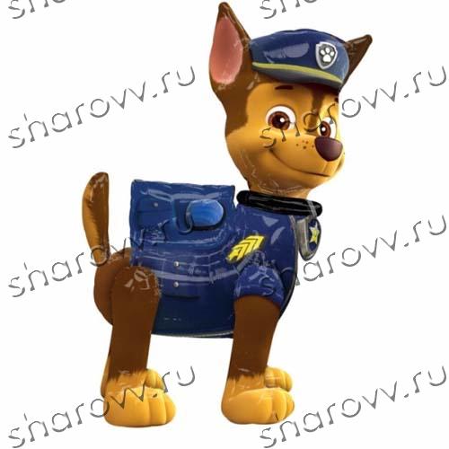 Шар "Гонщик Чейз"