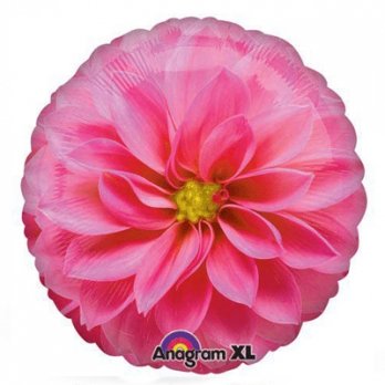 Шар круг фольга Цветок Астра розовая