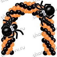 Арка 2 паука