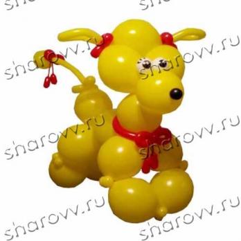 Фигура из шаров Желтый пудель Фигура из шаров Желтый пудель