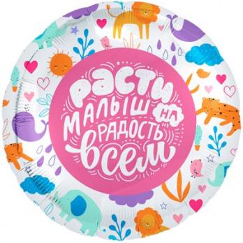 Шар фольга РАСТИ МАЛЫШ НА РАДОСТЬ ВСЕМ