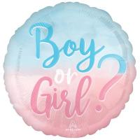 Шар круг Мальчик или девочка розово-голубой