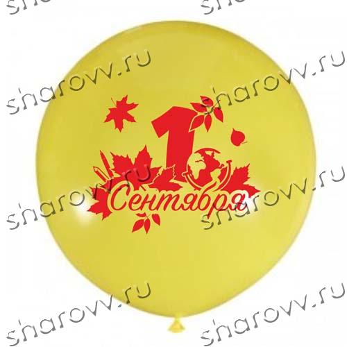 Шар большой "1 сентября"
